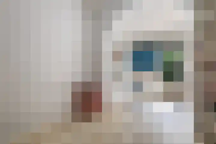 Vleutenseweg 336 Utrecht thumbnail 18