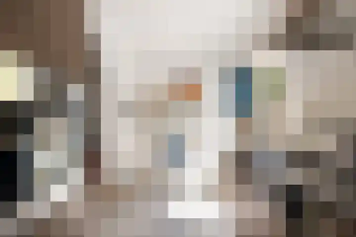 Vleutenseweg 336 Utrecht thumbnail 21