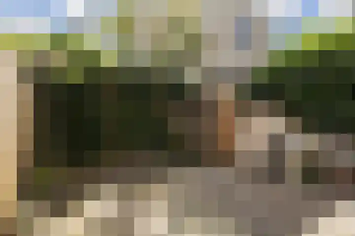 Vleutenseweg 336 Utrecht thumbnail 23