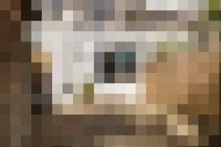 Vleutenseweg 336 Utrecht thumbnail 24