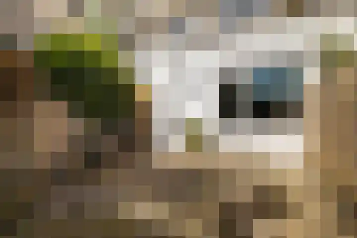 Vleutenseweg 336 Utrecht thumbnail 25