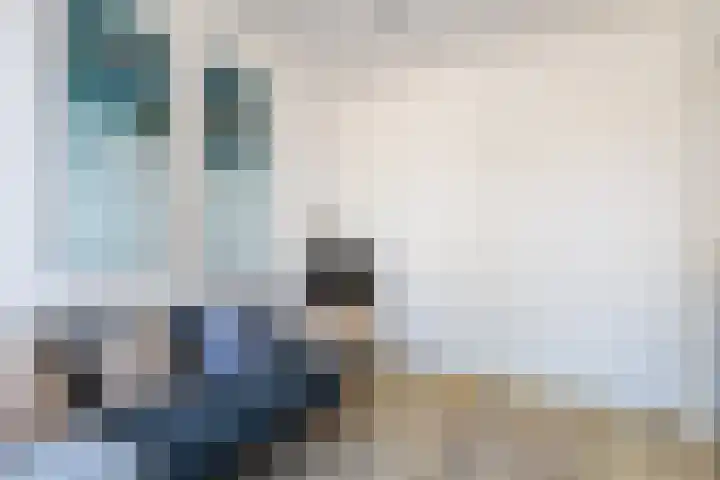Vleutenseweg 336 Utrecht thumbnail 7