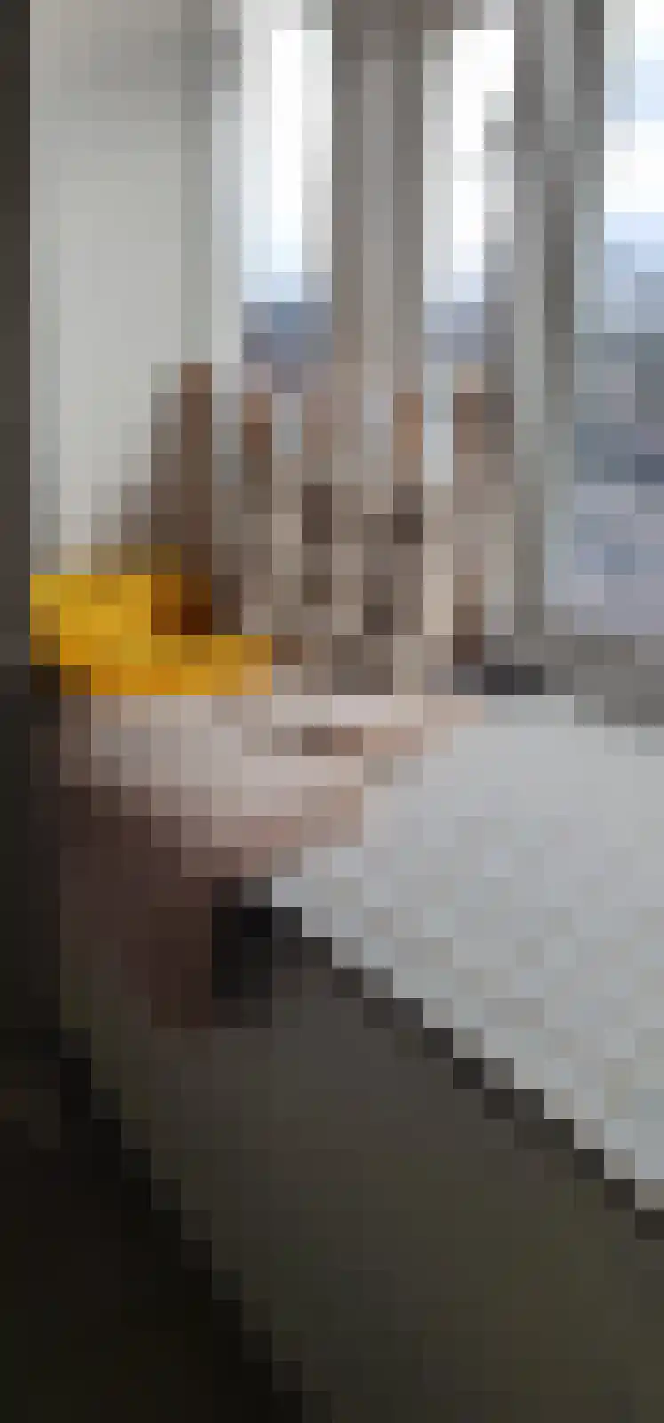 Vleutenseweg 353 Utrecht thumbnail 6