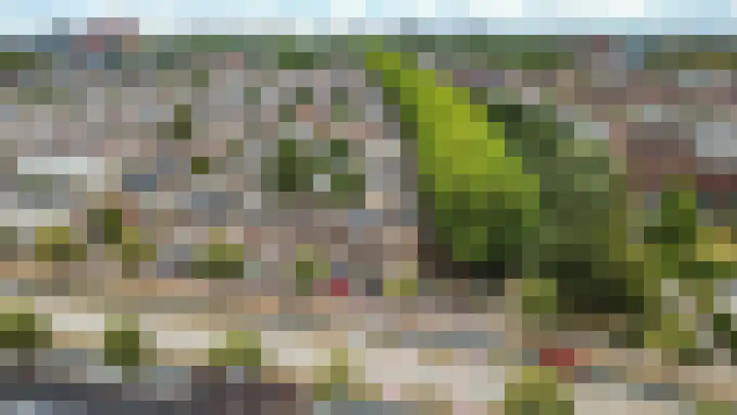 Vleutenseweg 378 C Utrecht thumbnail 19