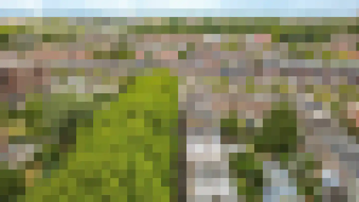 Vleutenseweg 378 C Utrecht thumbnail 20