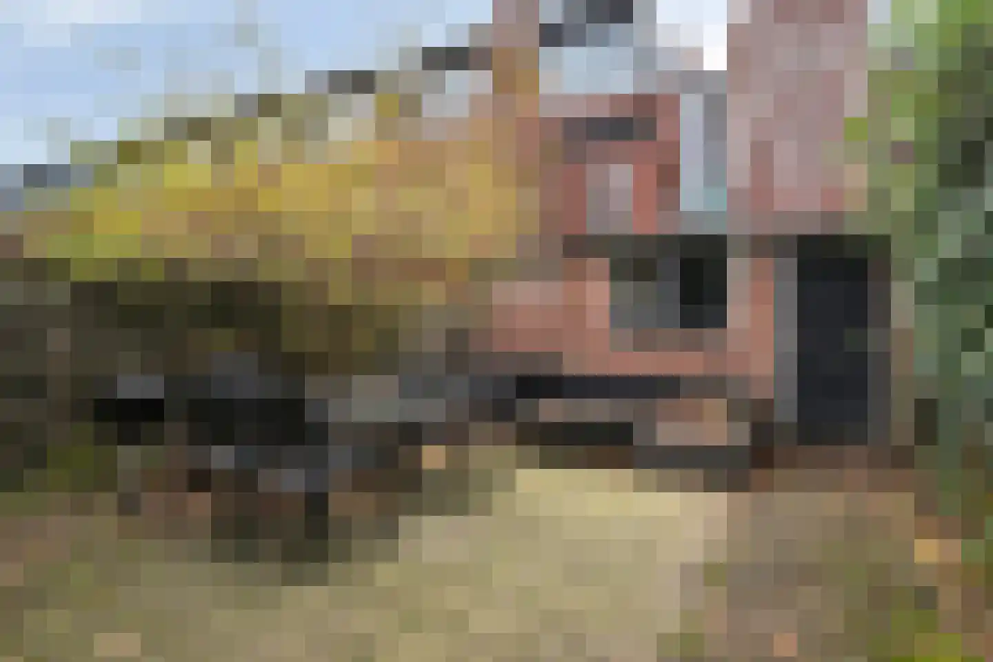 Vleutenseweg 383 Utrecht thumbnail 38