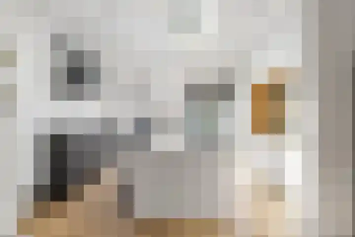 Vleutenseweg 392 Utrecht thumbnail 18