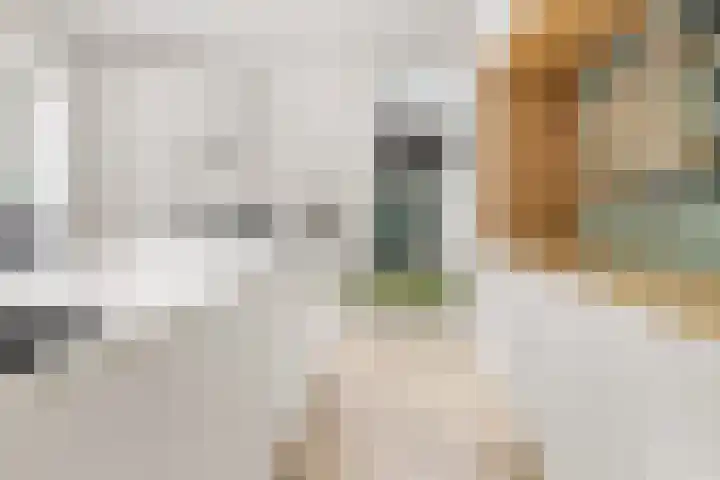 Vleutenseweg 392 Utrecht thumbnail 22