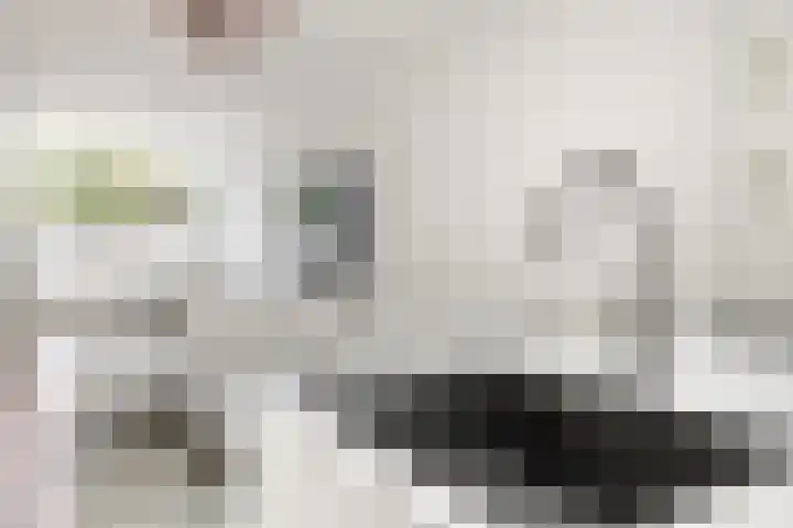 Vleutenseweg 392 Utrecht thumbnail 24