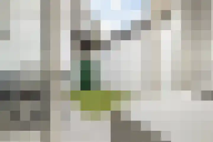 Vleutenseweg 392 Utrecht thumbnail 25