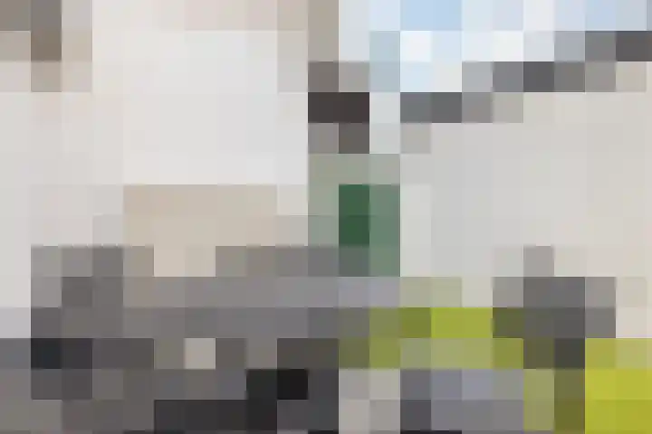 Vleutenseweg 392 Utrecht thumbnail 26