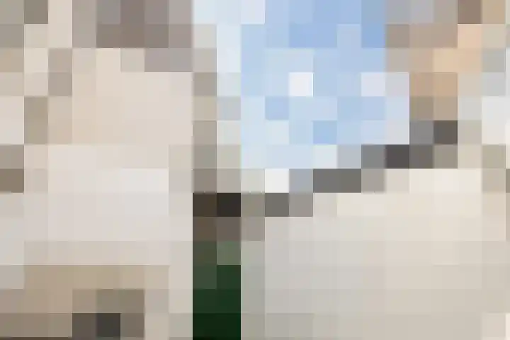 Vleutenseweg 392 Utrecht thumbnail 27