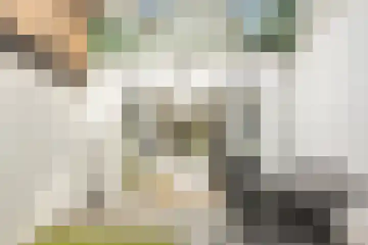 Vleutenseweg 392 Utrecht thumbnail 28
