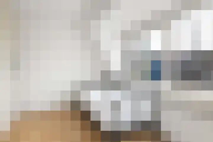 Vleutenseweg 392 Utrecht thumbnail 48