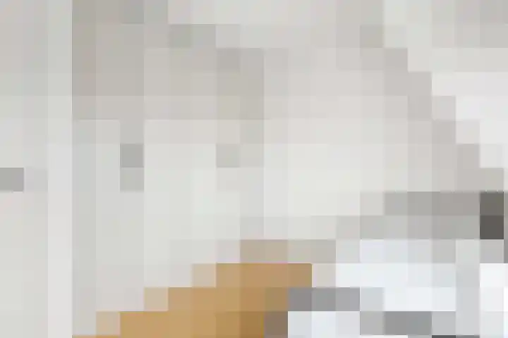 Vleutenseweg 392 Utrecht thumbnail 49
