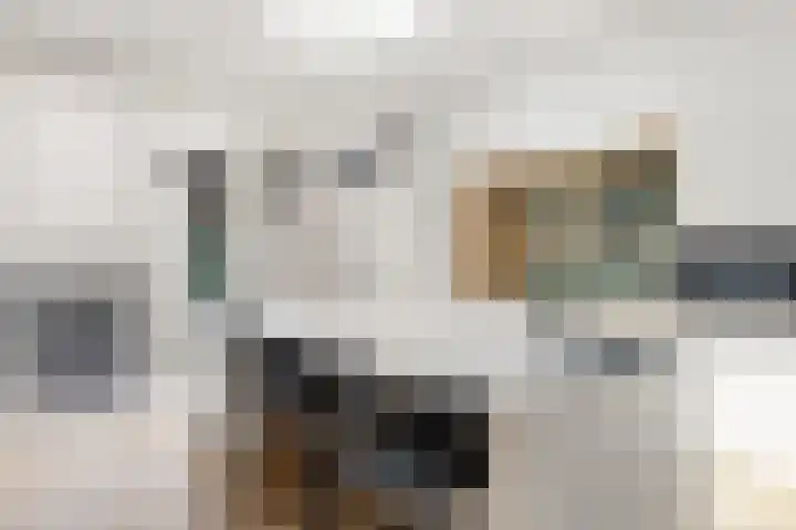 Vleutenseweg 392 Utrecht thumbnail 5
