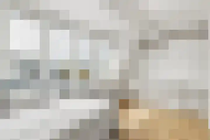 Vleutenseweg 392 Utrecht thumbnail 50