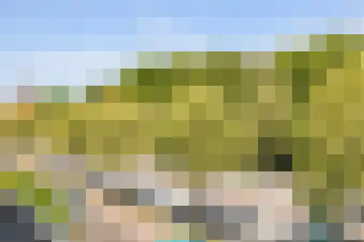 Vleutenseweg 392 Utrecht thumbnail 52