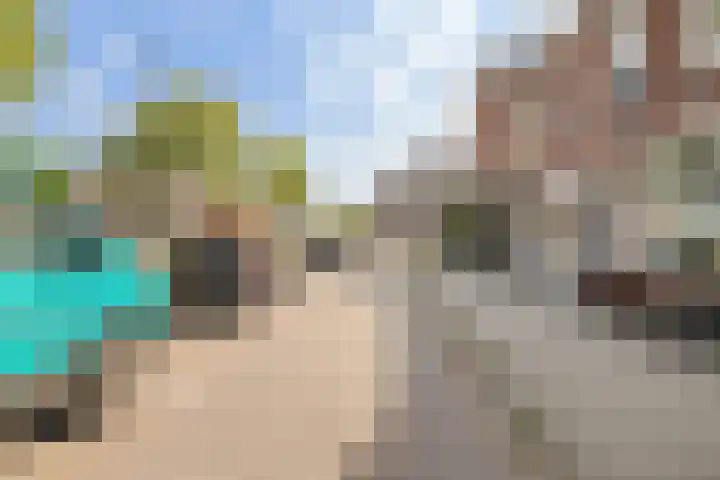 Vleutenseweg 392 Utrecht thumbnail 53