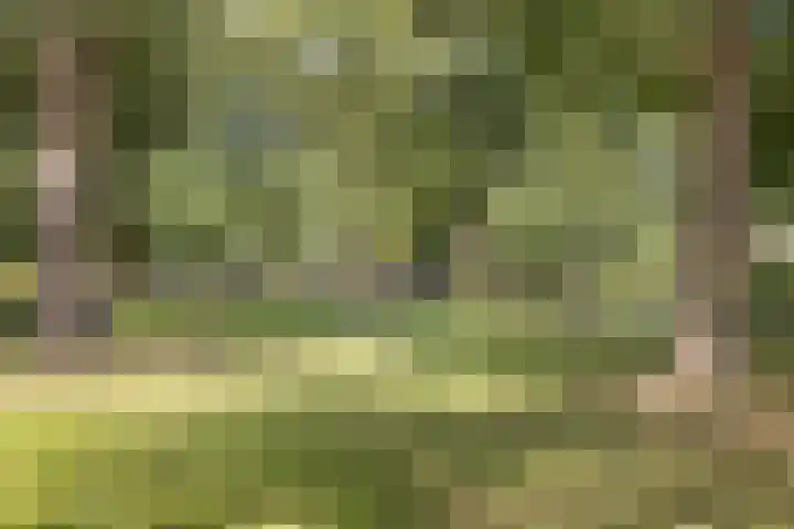 Vleutenseweg 392 Utrecht thumbnail 56