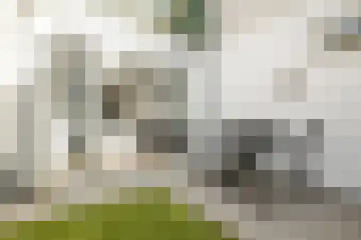 Vleutenseweg 392 Utrecht thumbnail 6