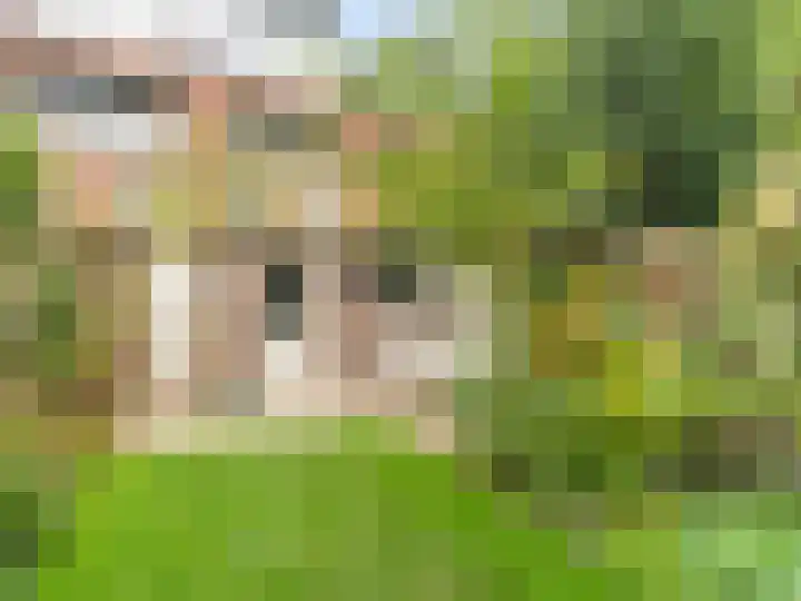 Vleutenseweg 395 Utrecht thumbnail 21