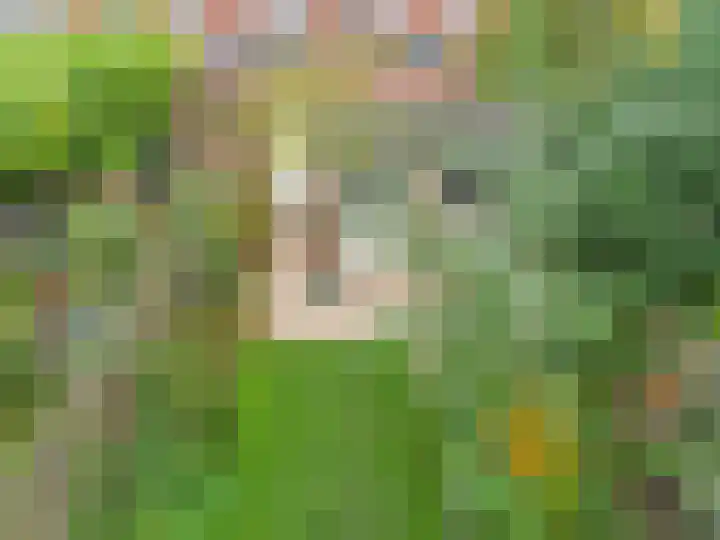 Vleutenseweg 395 Utrecht thumbnail 32