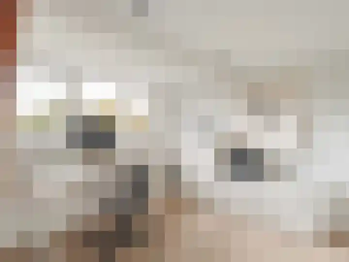 Vleutenseweg 395 Utrecht thumbnail 43