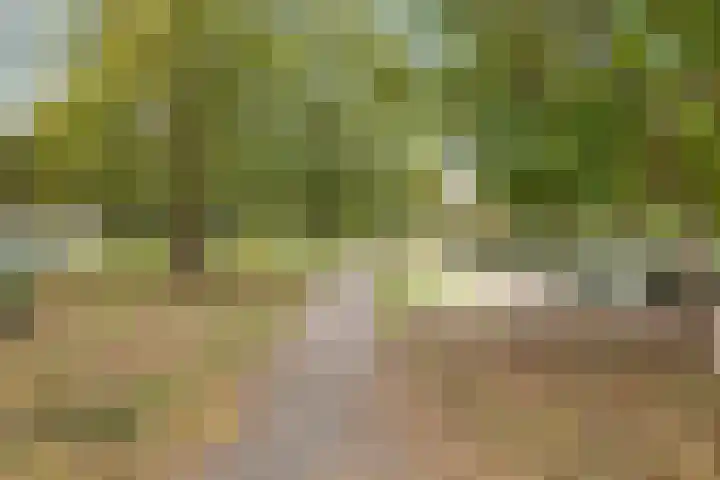 Vleutenseweg 395 Utrecht thumbnail 50