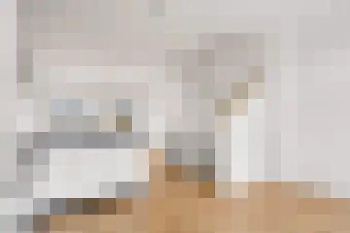 Vleutenseweg 404 A Utrecht thumbnail 10