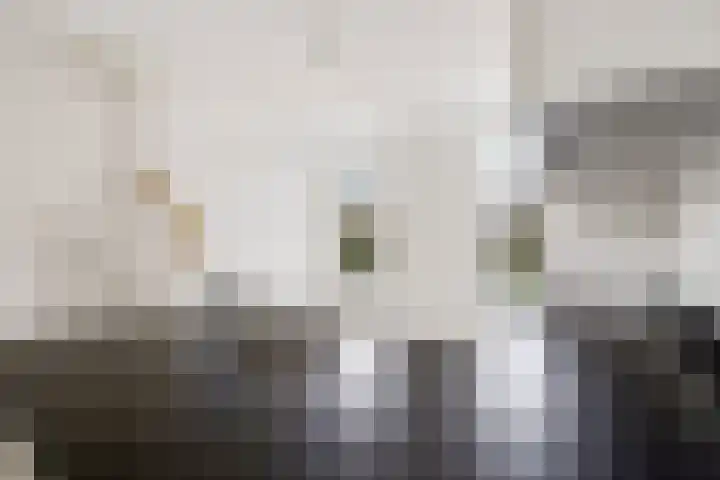 Vleutenseweg 404 A Utrecht thumbnail 12