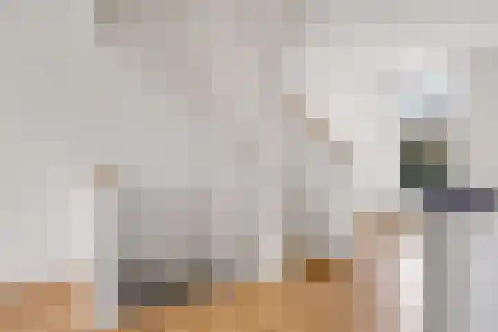 Vleutenseweg 404 A Utrecht thumbnail 14