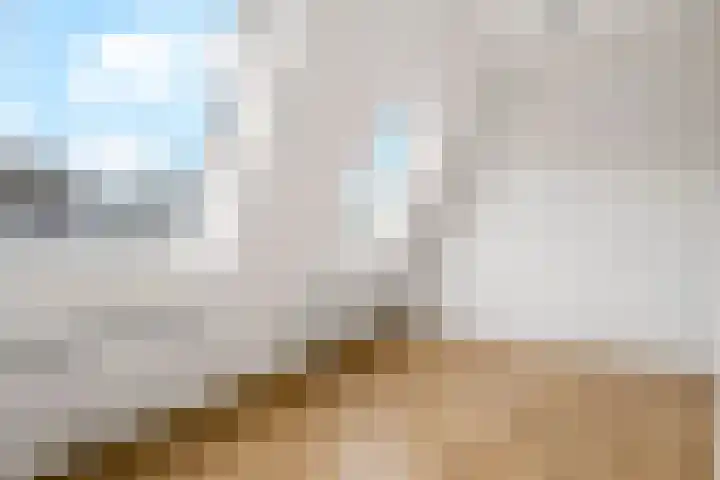 Vleutenseweg 404 A Utrecht thumbnail 19