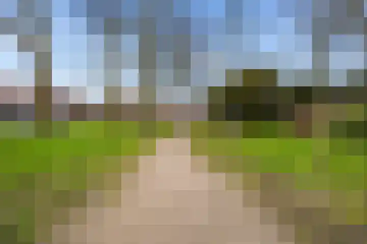 Vleutenseweg 404 A Utrecht thumbnail 39