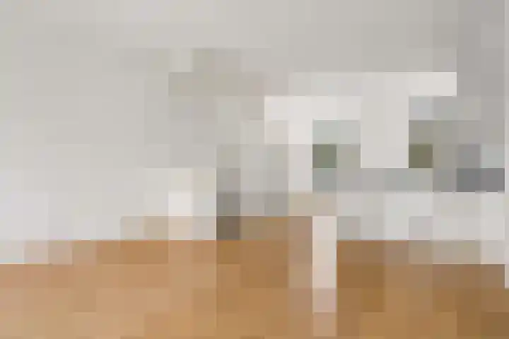 Vleutenseweg 404 A Utrecht thumbnail 7