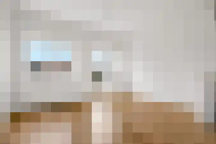 Vleutenseweg 404 A Utrecht thumbnail 8