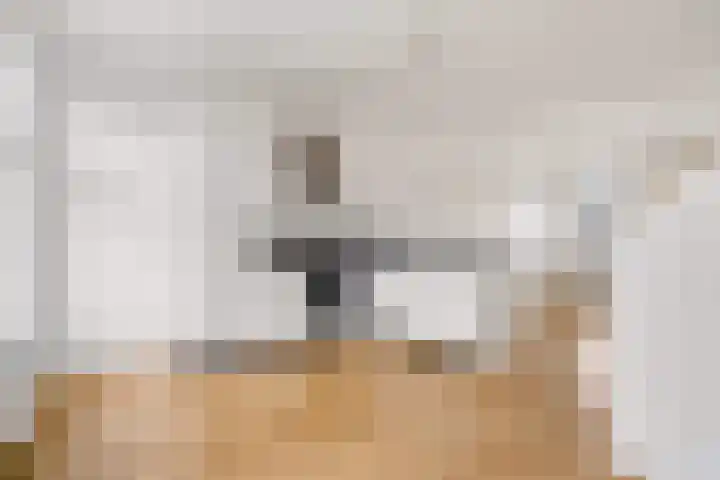 Vleutenseweg 404 A Utrecht thumbnail 9