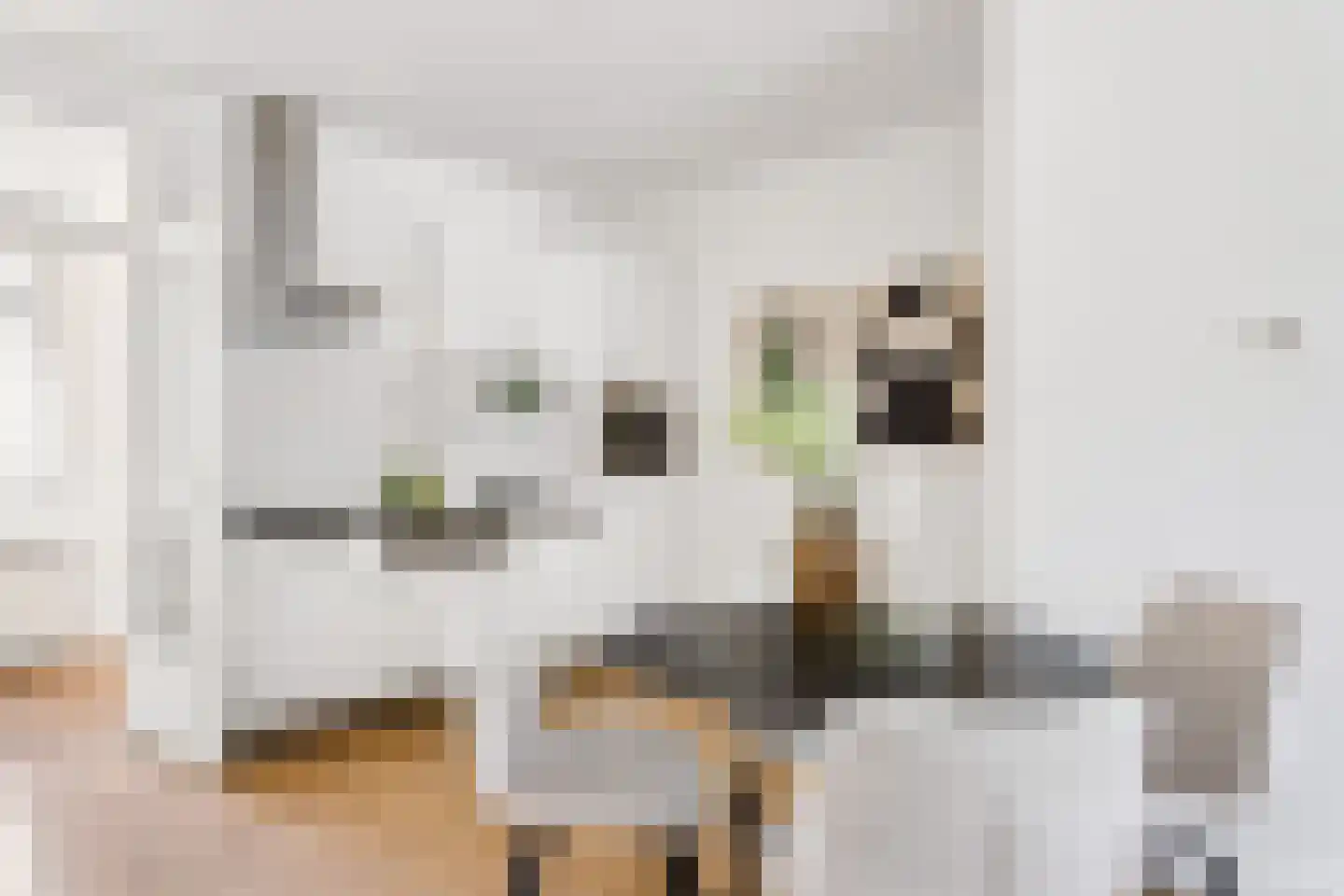 Vleutenseweg 404 Utrecht thumbnail 15