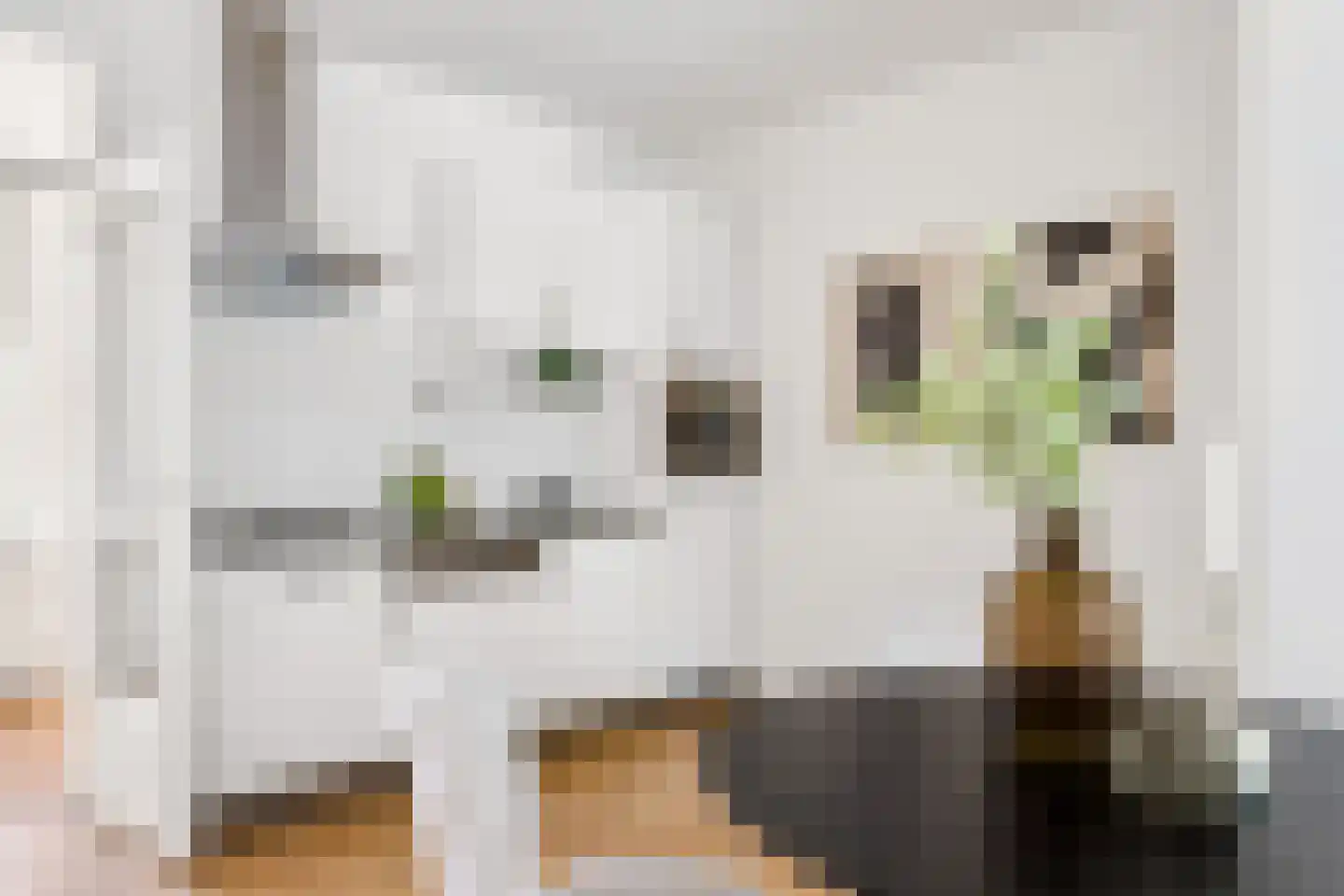 Vleutenseweg 404 Utrecht thumbnail 18