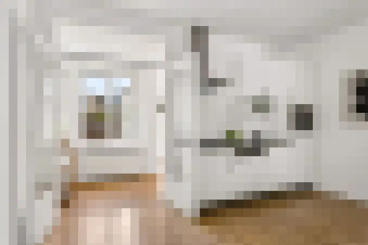 Vleutenseweg 404 Utrecht thumbnail 20