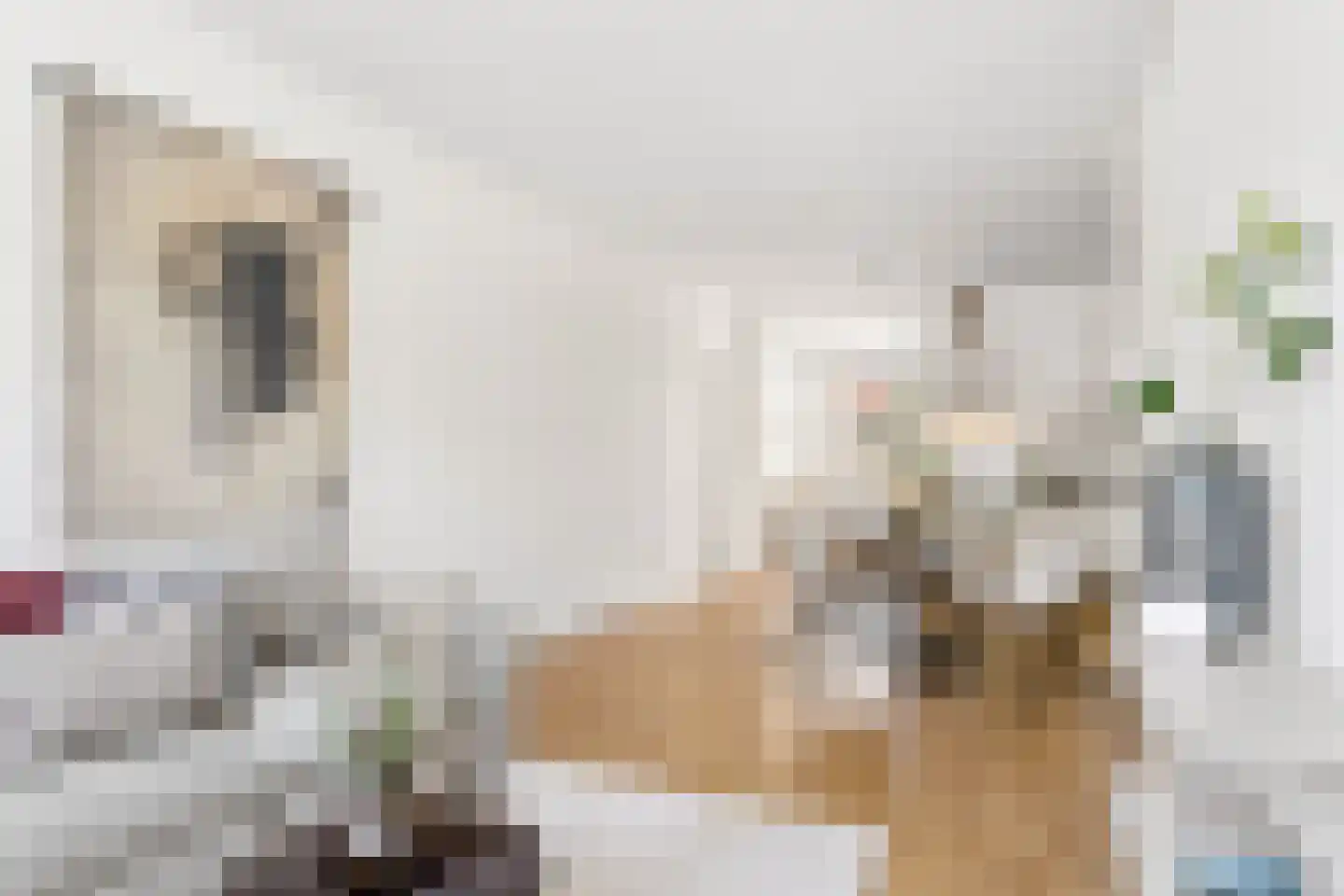 Vleutenseweg 404 Utrecht thumbnail 4