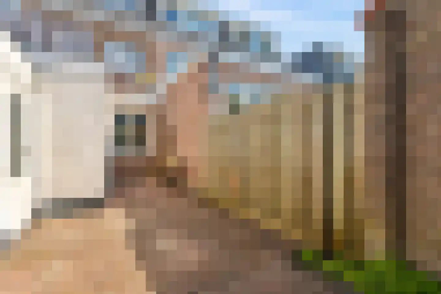 Vleutenseweg 404 Utrecht thumbnail 43