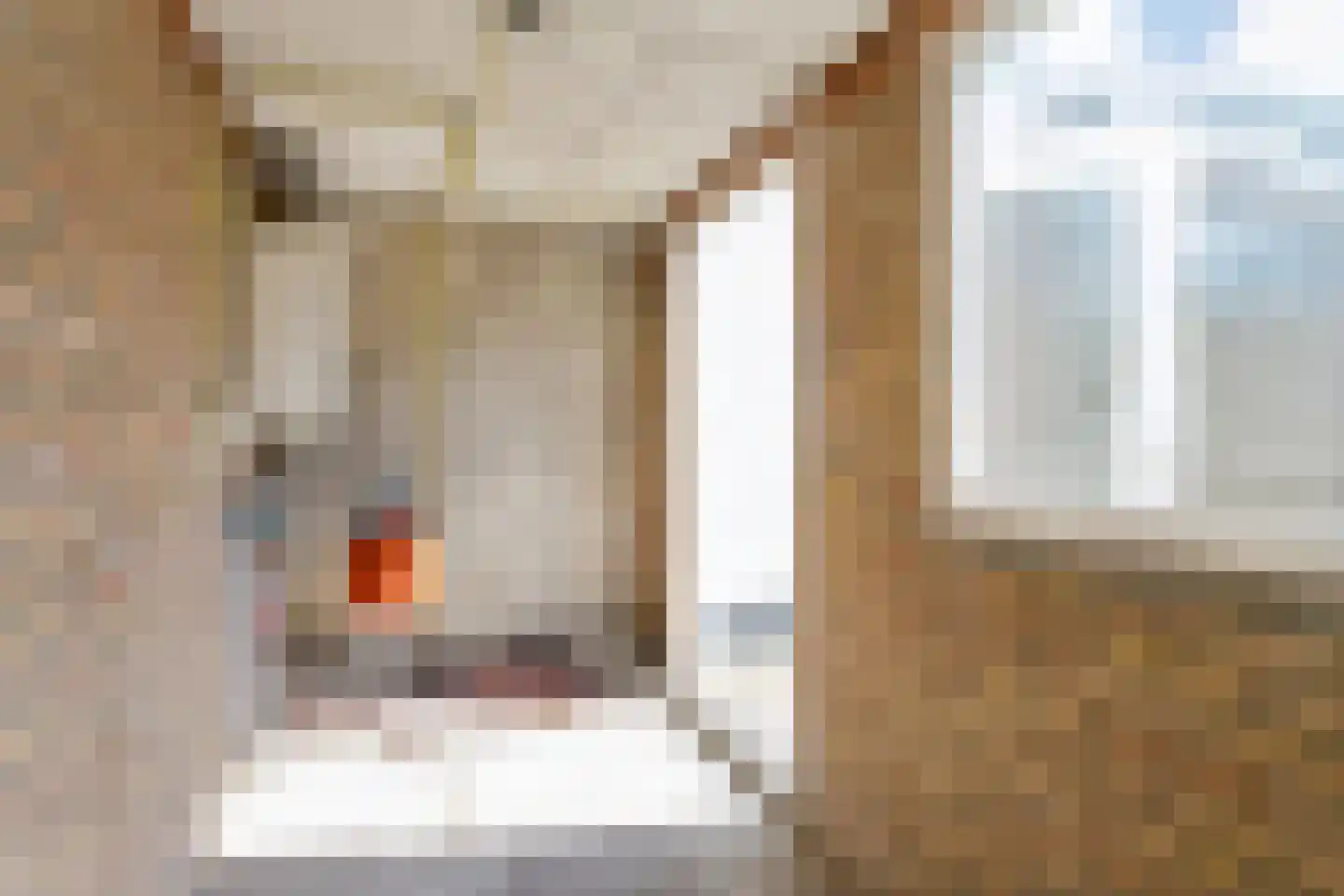 Vleutenseweg 404 Utrecht thumbnail 45