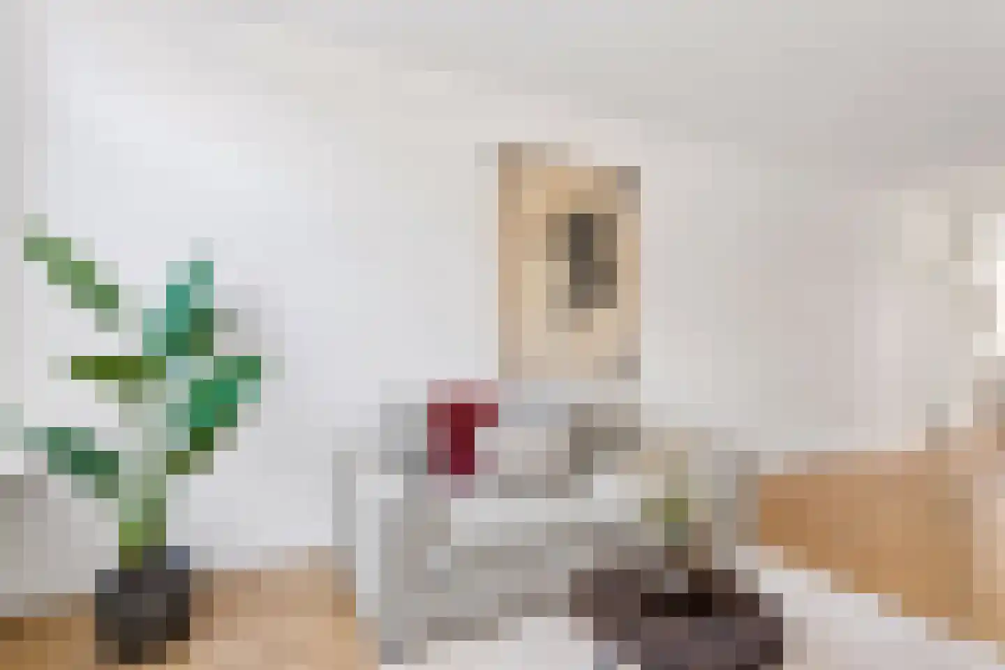 Vleutenseweg 404 Utrecht thumbnail 8