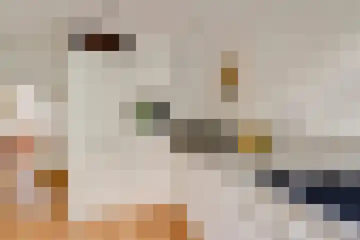 Vleutenseweg 409 Utrecht thumbnail 10