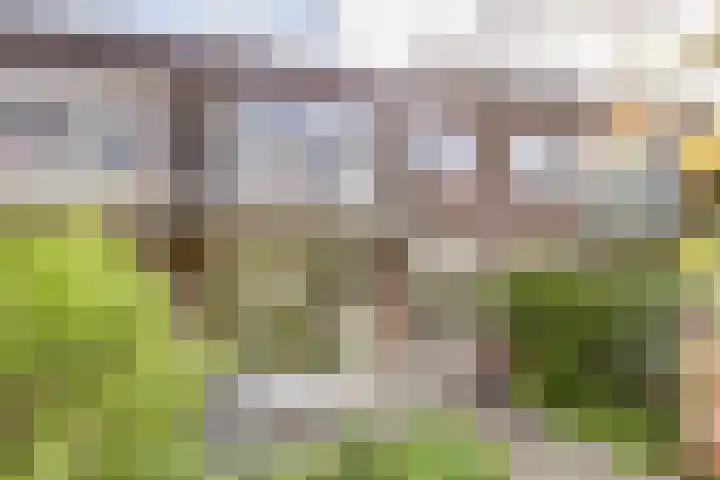 Vleutenseweg 409 Utrecht thumbnail 13
