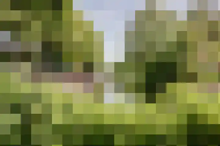 Vleutenseweg 409 Utrecht thumbnail 40
