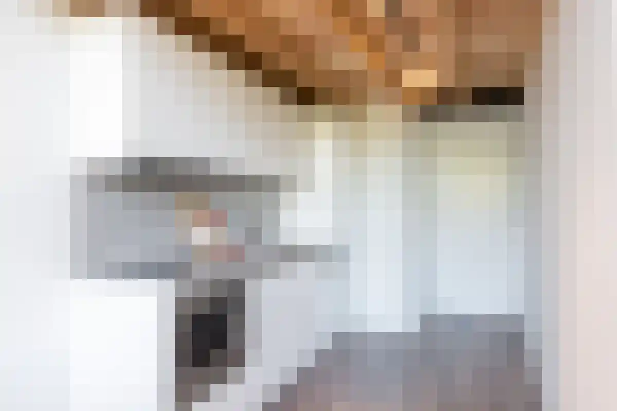 Vleutenseweg 420 Utrecht thumbnail 5