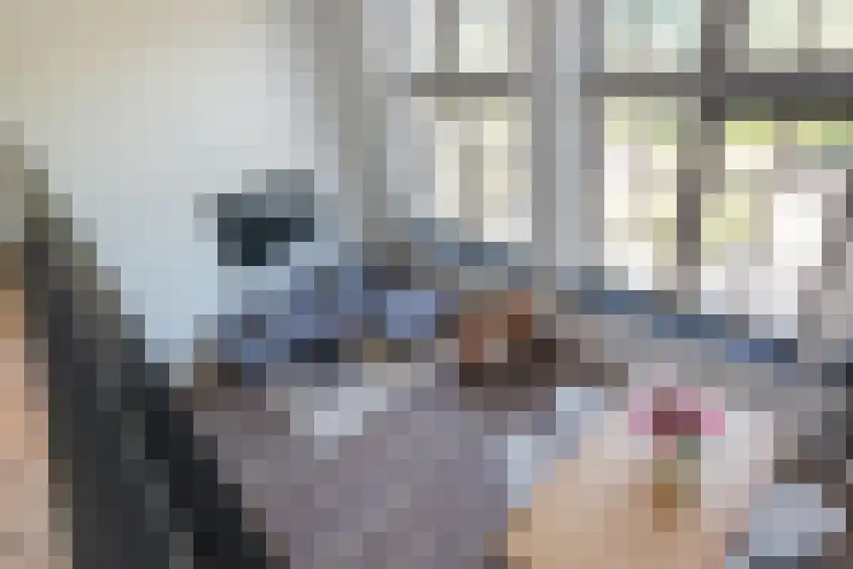 Vleutenseweg 420 Utrecht thumbnail 5