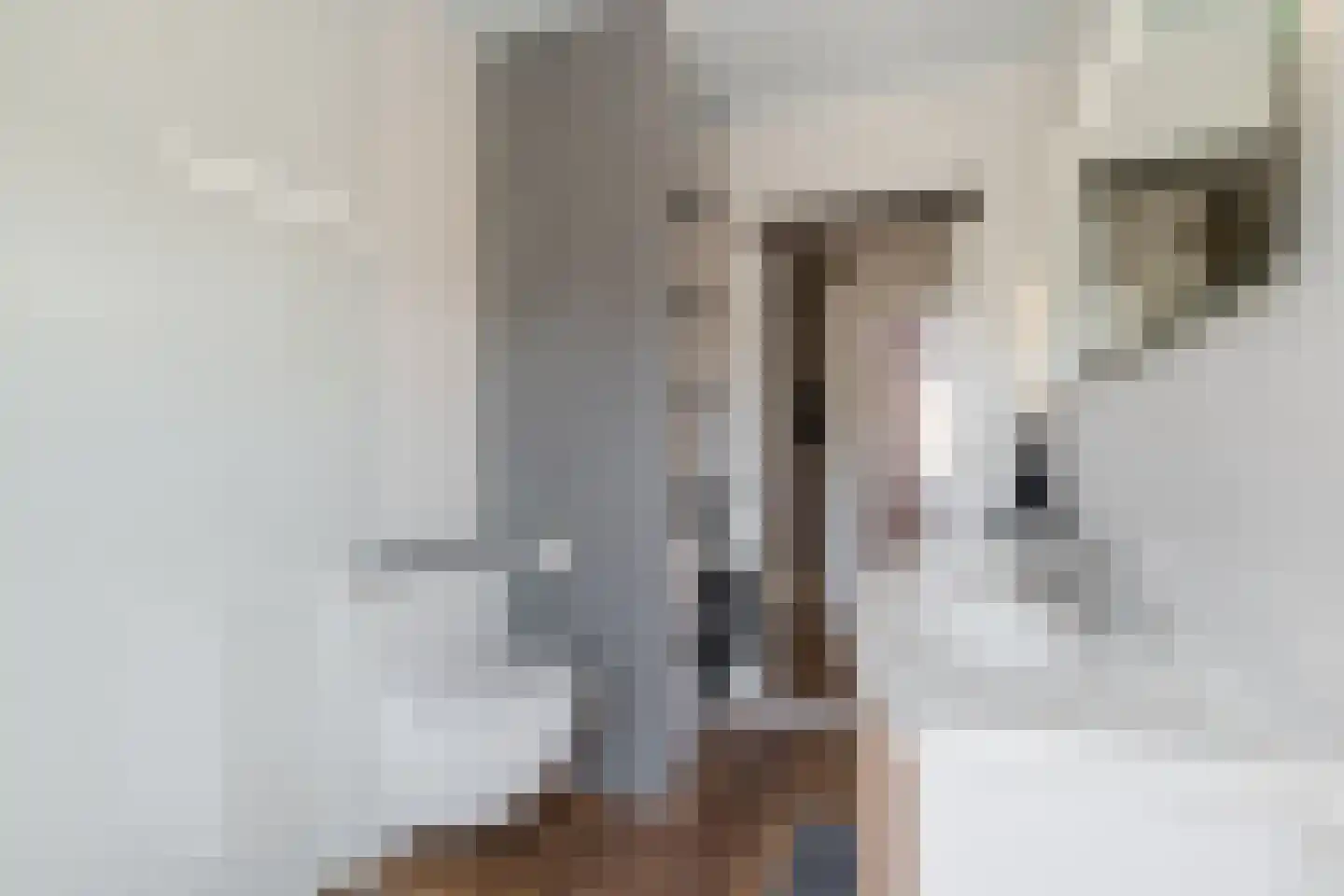 Vleutenseweg 454 Utrecht thumbnail 27
